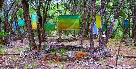 Austin Art Gallery & Market Studio